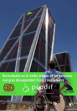 Necesidades de las personas con gran discapacidad física y sus familias en medio urbano